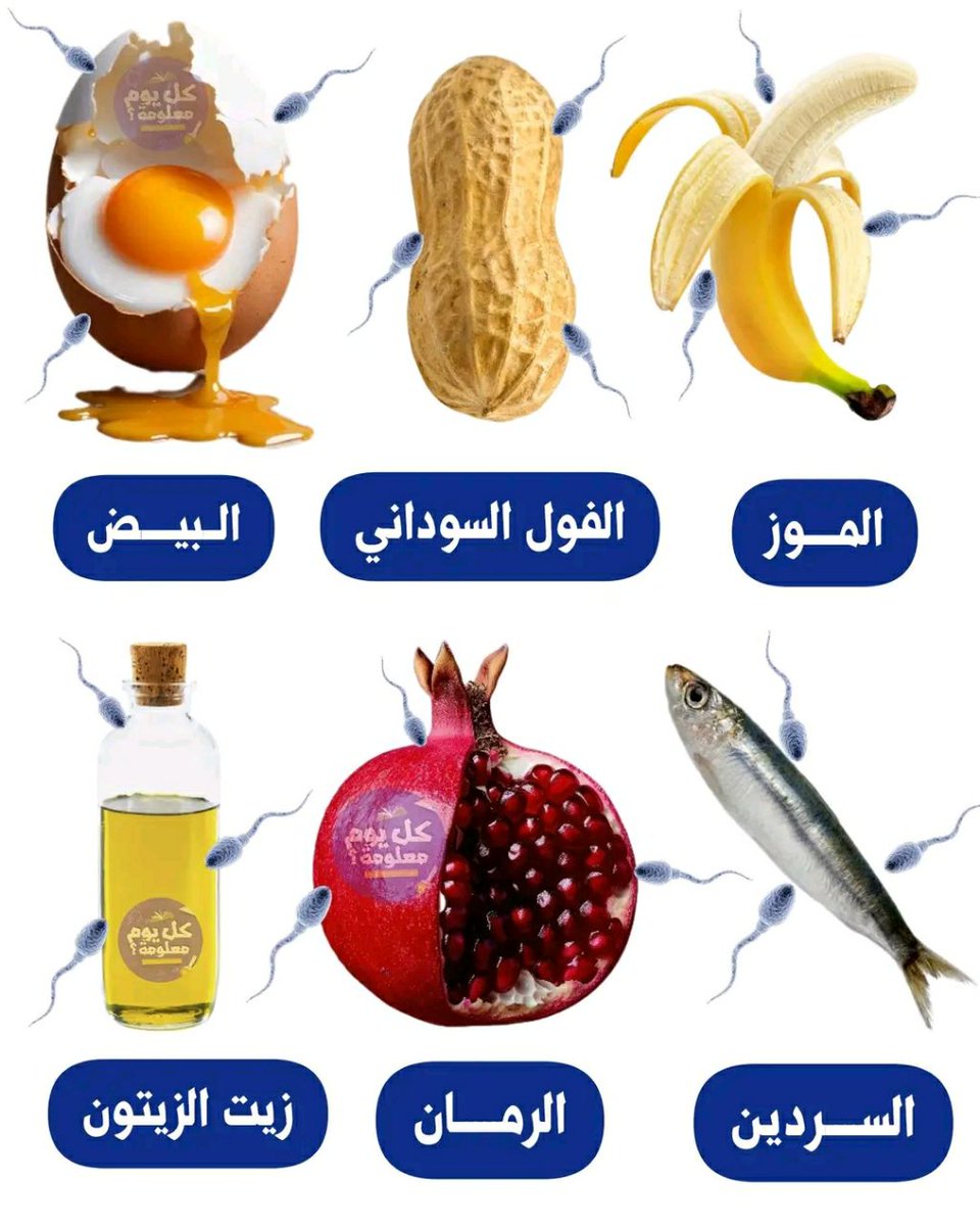 8iff6's tweet image. ✅️ الموز : تحمي خلايا الحيوانات المنوية
✅️ الفول السوداني : تحسن من جودة الحيوانات المنوية 
✅️ البيض : يساهم في صحة الحيوانات المنوية
✅️ السردين : زيادة الحركة والعدد
✅️ الرمان : إنتاج الحيوانات المنوية الصحية والغير المشوهة
✅️ الزيت الزيتون : تدعم إنتاج الحيوانات…