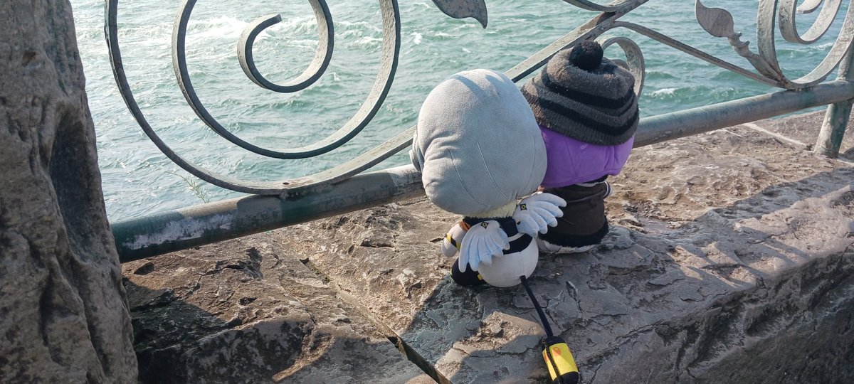 AustinGromit's tweet photo. GRAHHHH #vuzi PLUSH PHOTOS IN NIAGARA FALLS FROM AUGUST 🔥🔥🔥🗣🗣🗣💜💛💜💛 (1/2) https://t.co/zL5riGhCDz