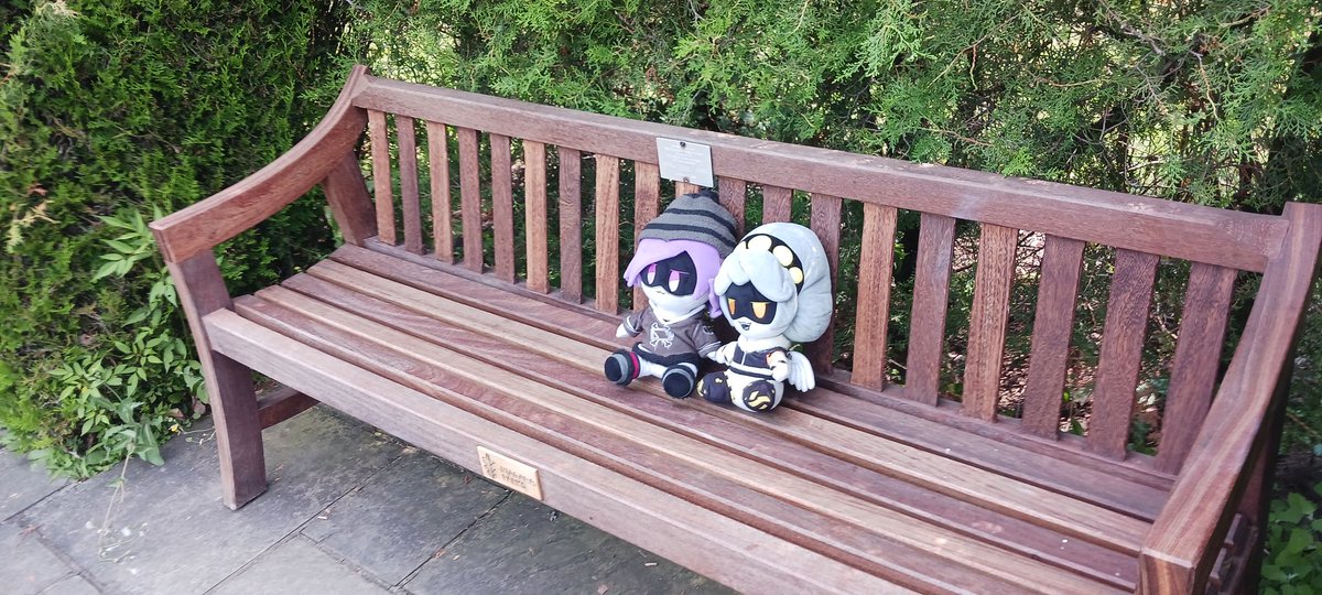AustinGromit's tweet photo. GRAHHHH #vuzi PLUSH PHOTOS IN NIAGARA FALLS FROM AUGUST 🔥🔥🔥🗣🗣🗣💜💛💜💛 (1/2) https://t.co/zL5riGhCDz