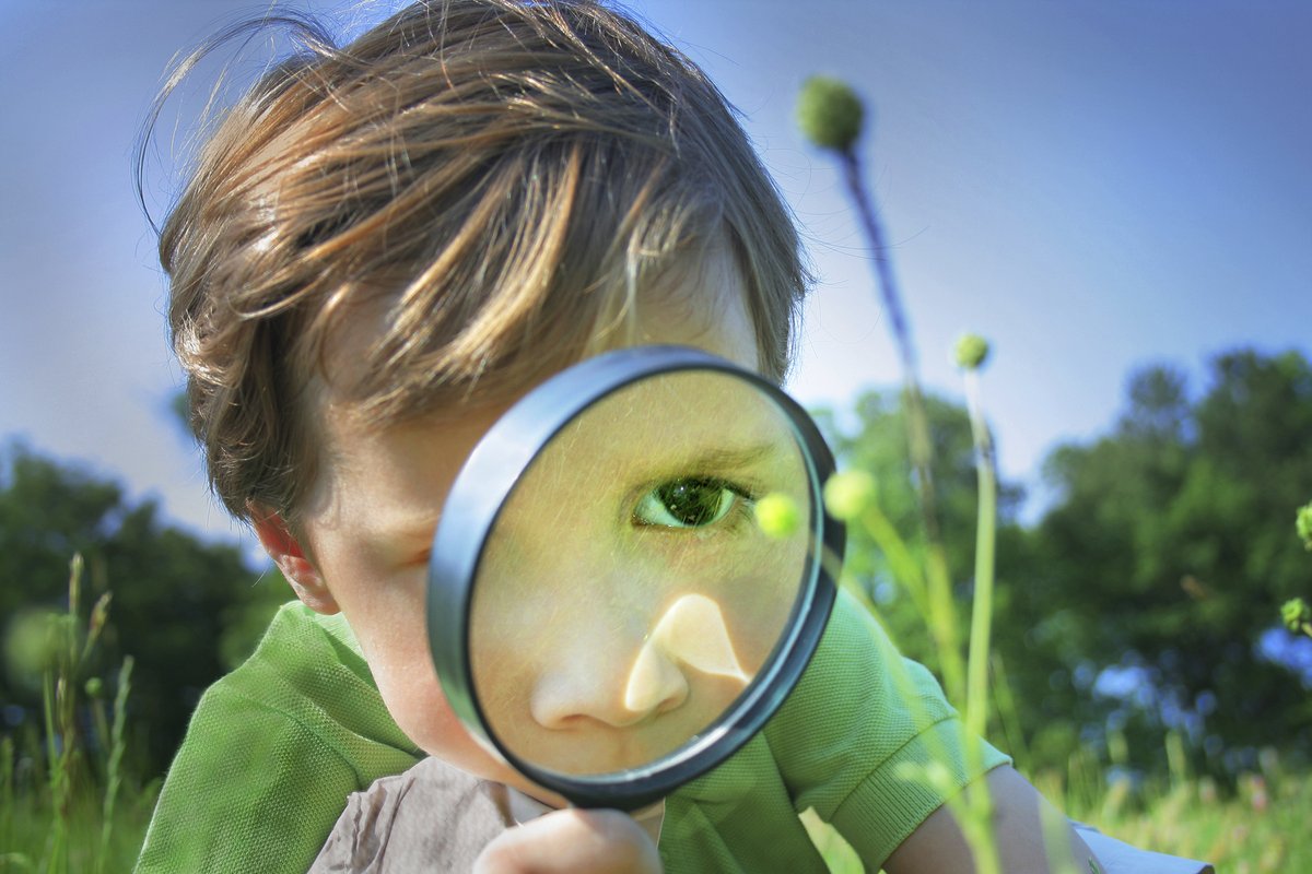 Is your child a nature detective? 

Register them today for the Young Naturalist program! 

parks.canada.ca/pn-np/on/pelee…