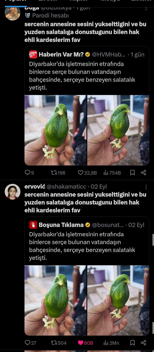Doğa şu çalma işini azaltsan mı aq hayır mavi tikinde yok ne skşme yarıyor böyle tweetleri çalman
