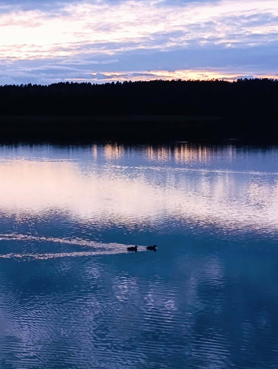 nika1703nika's tweet image. #resent  photo
Some hours ago...