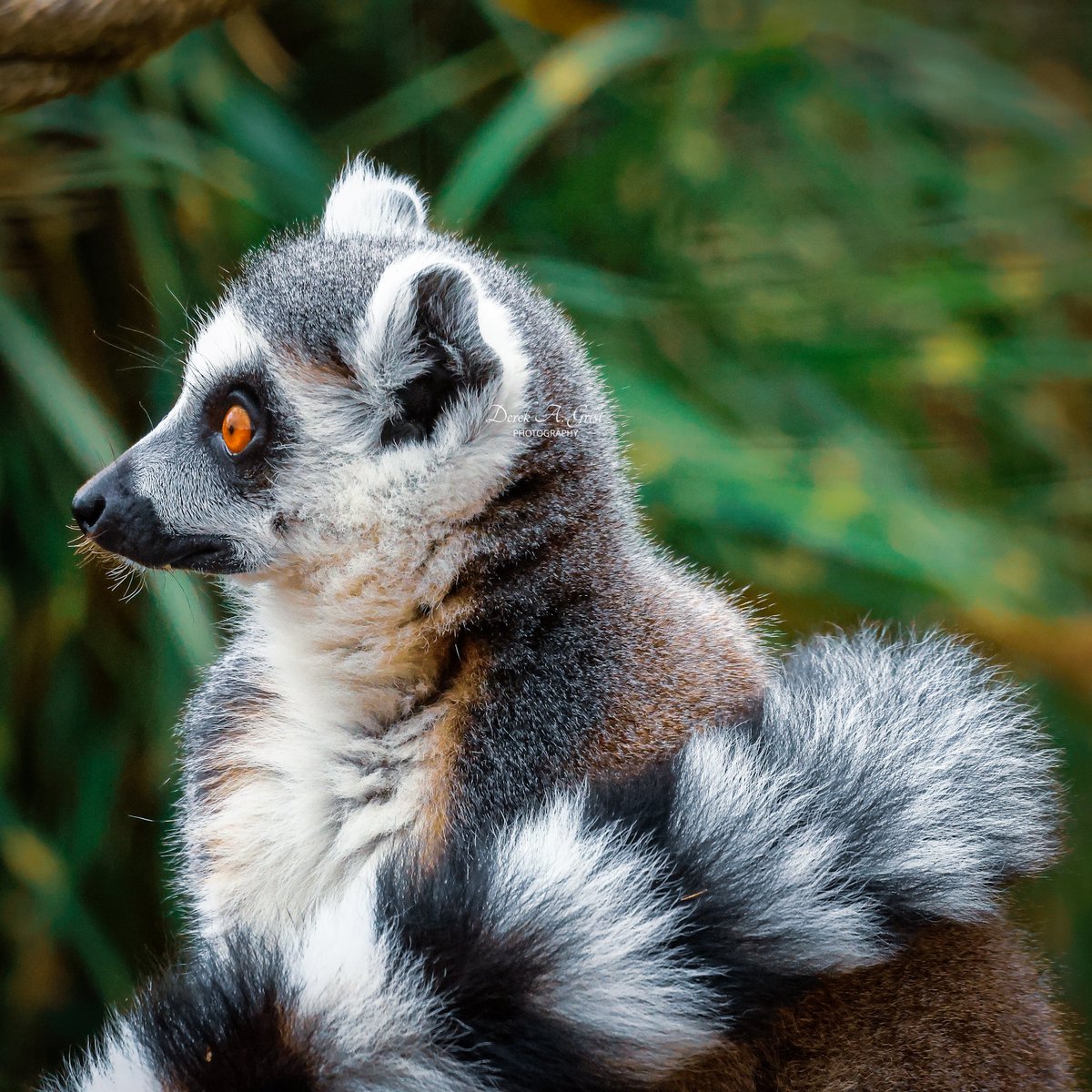 DerekAGrist tweet media