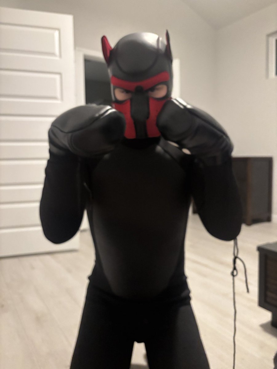 LatexMini's tweet image. Good pups pose for their owners. My adorable pet.
