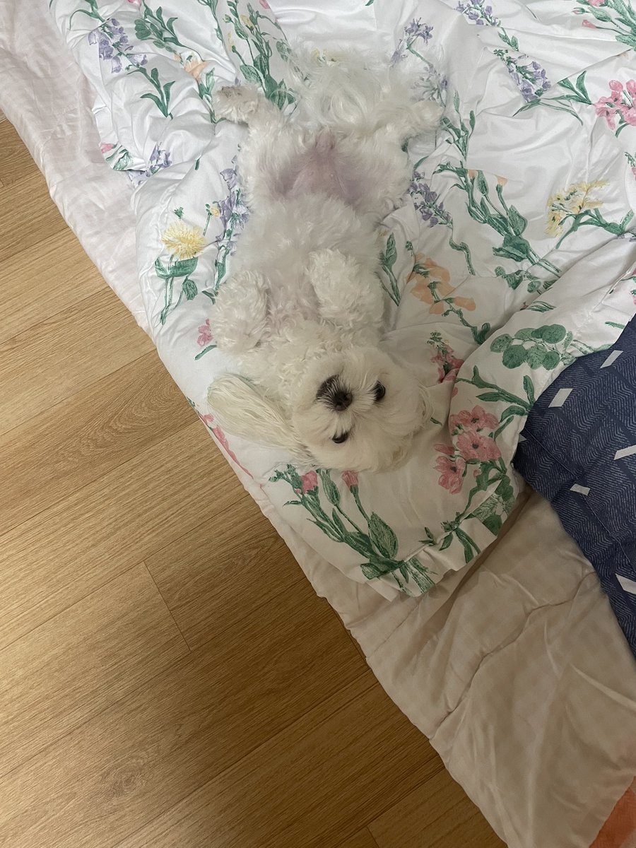 sc2Control's tweet image. 🥰🥰