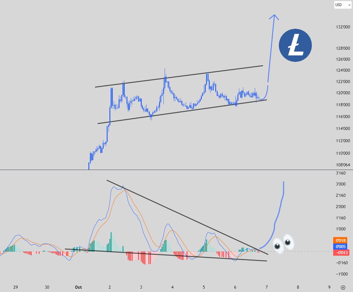DMinimilian's tweet image. Oh damn, I have this feeling that Litecoin could break out in the next few hours! 🚀🔥

$LTC