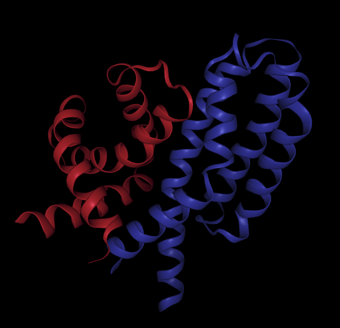 iskander's tweet photo. I love these and also...they're ludicrous. 

(BindCraft designed miniprotein for crystallizable core of NUTM1) https://t.co/OQCKir3v6k