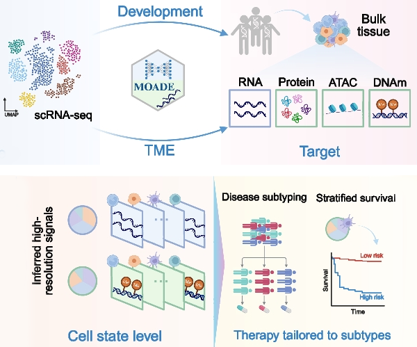 CENOS St Jude tweet media