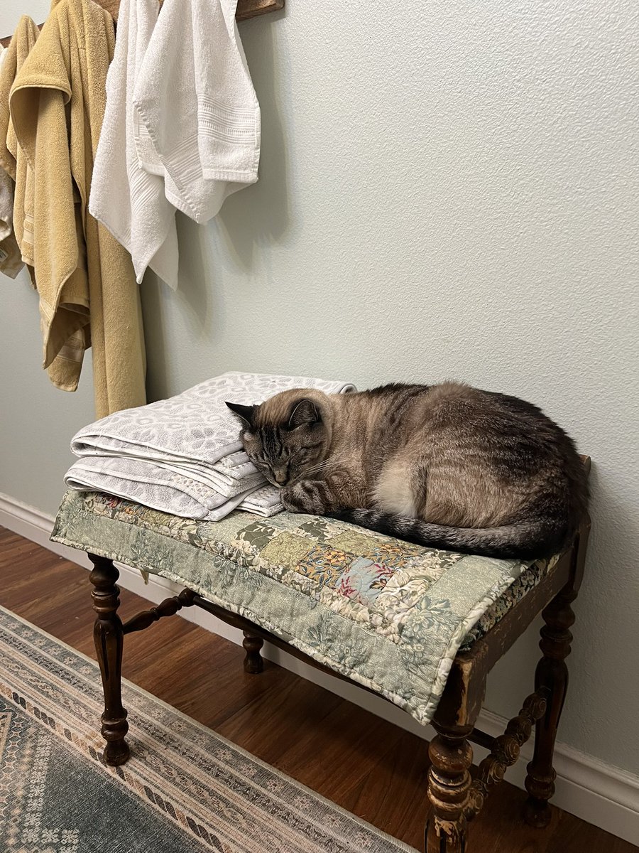 more dry herbi &amp; then some wind waker later :-) ttv / emilycupholda