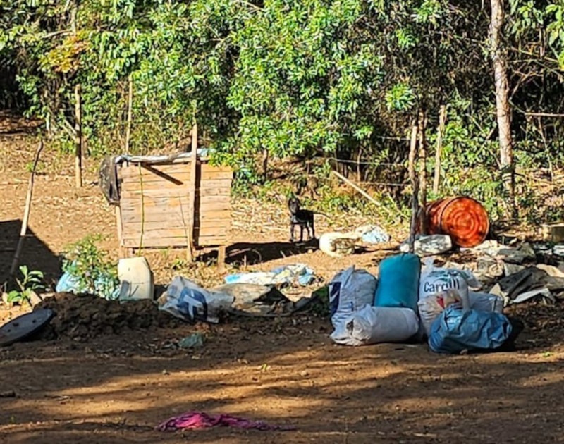 correiodeminas's tweet image. Polícia Civil resgata cadela vítima de maus-tratos em condições chocantes #correiodeminas

#pcmg #resgate #cadela #maustratos  #correiodeminasonline

correiodeminas.com.br/2025/10/06/pol…