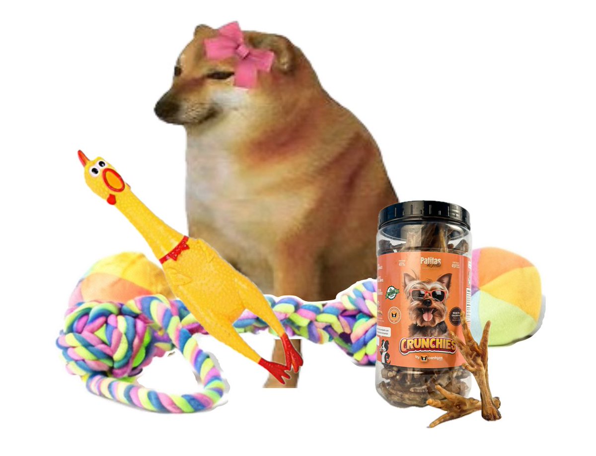 Tener un perrito es como ser un sugar daddy. Gastas todo tu dinero en mantenerlos felices con comida y objetos y lo único que ellos hacen es verse lindos y te prestan atención algunas veces.