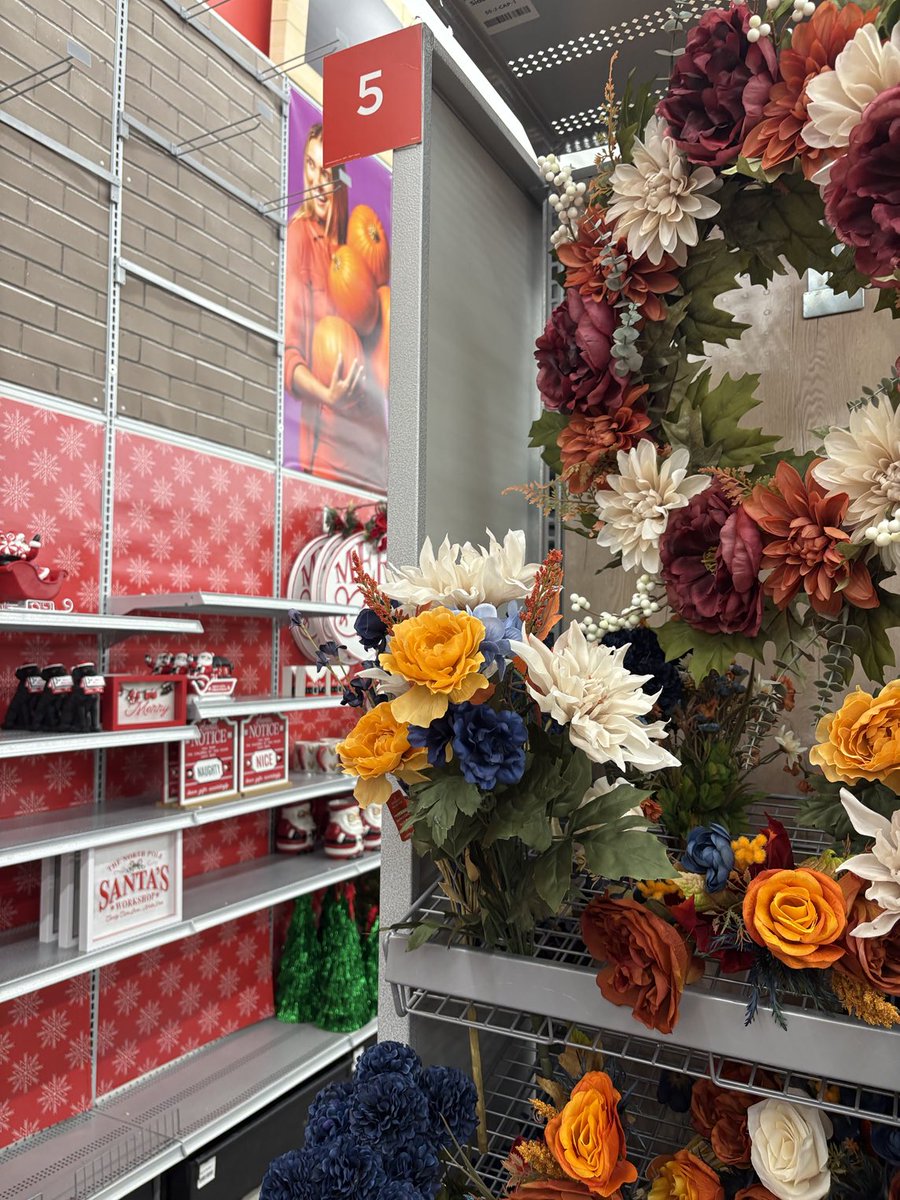 LisaCarberg's tweet image. #when seasons collide at the craft store