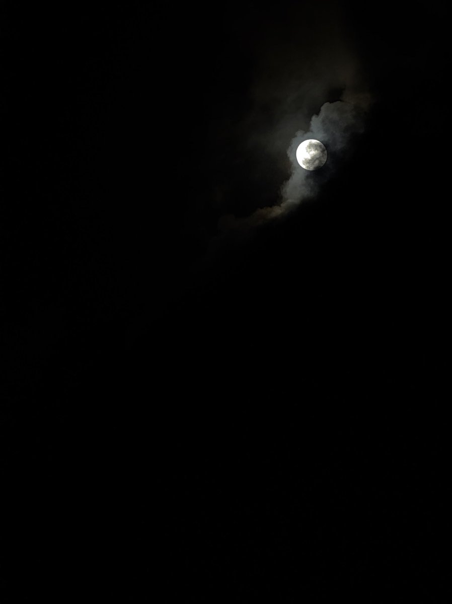 rajas_s's tweet photo. 🌙 https://t.co/BhksOay6cy