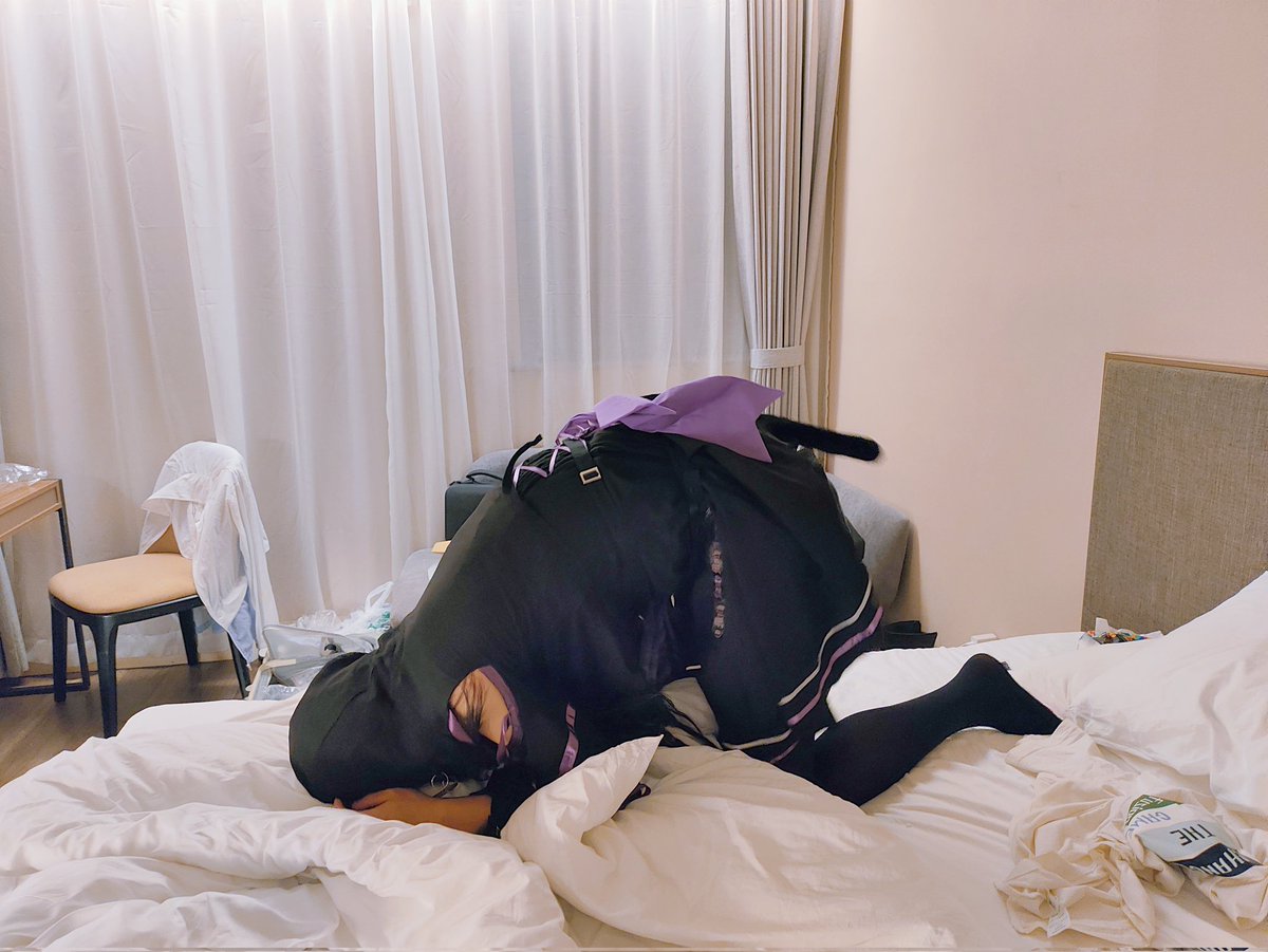 爱莉希雅 tweet media