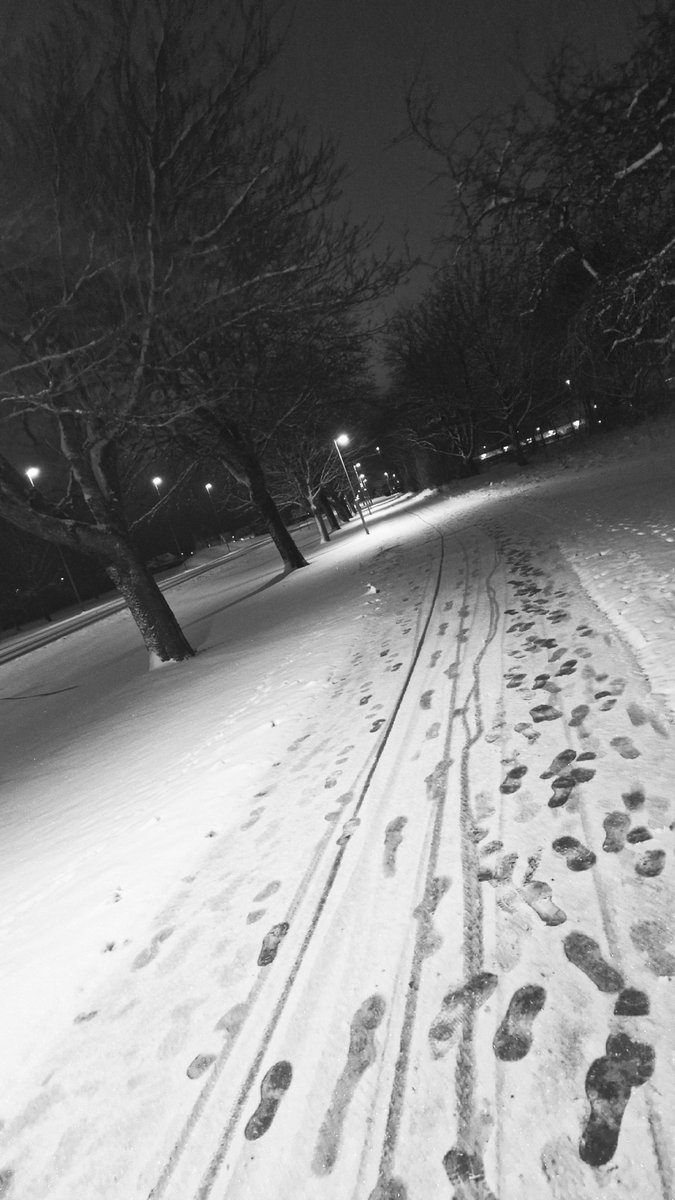 LostFish's tweet image. Soon the cold, silent, dark winter is back

Can't wait