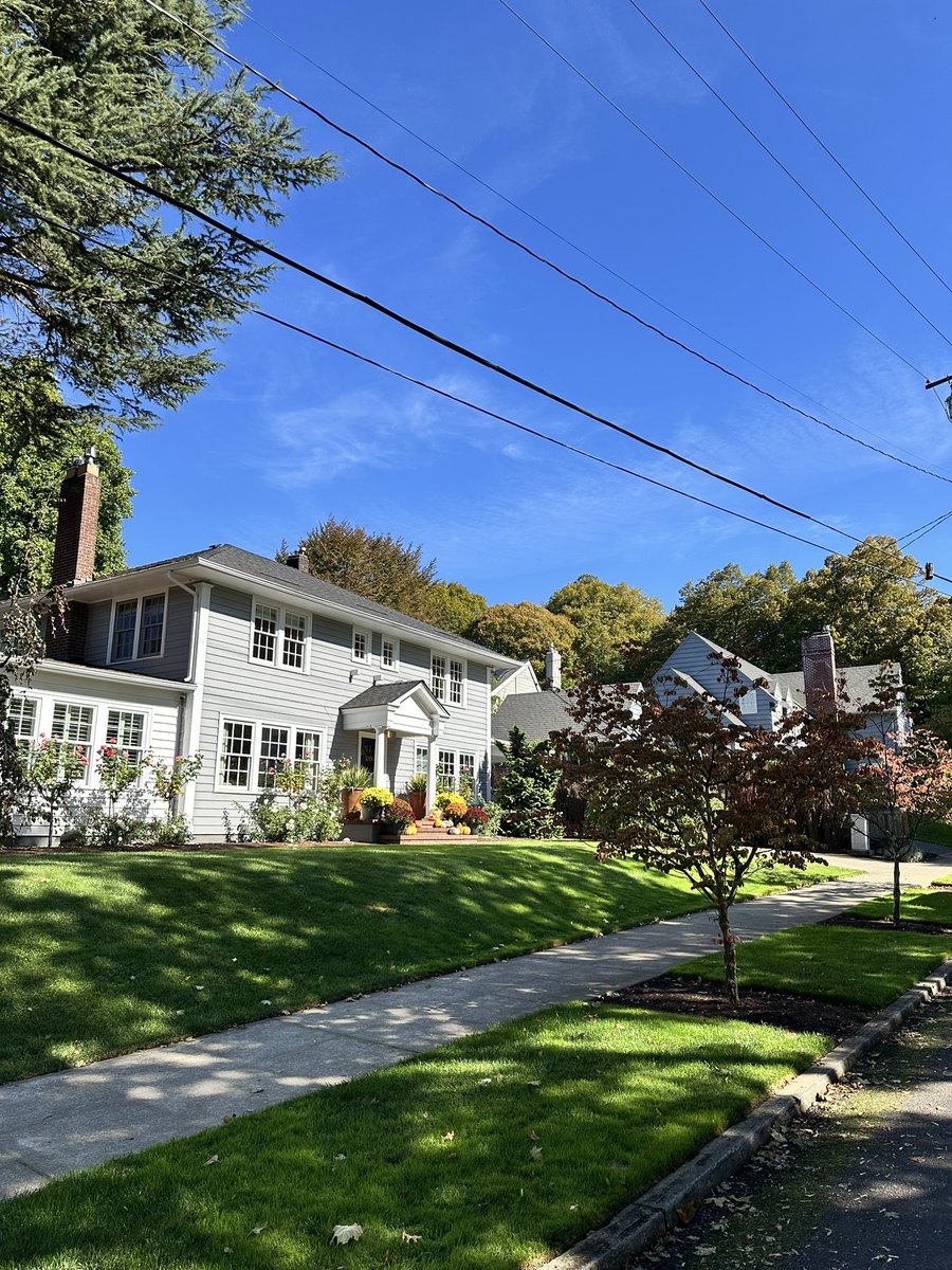 Shahin Kanafchian tweet media