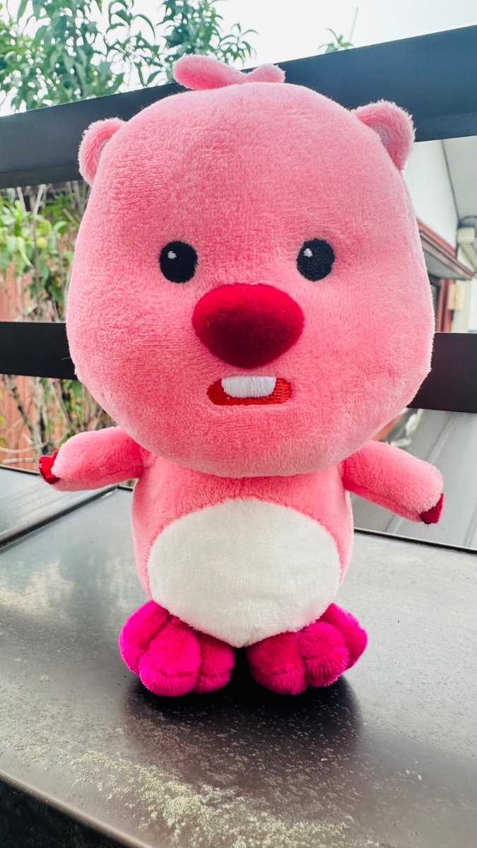 Loopy 🇰🇷🦫💎 tweet media