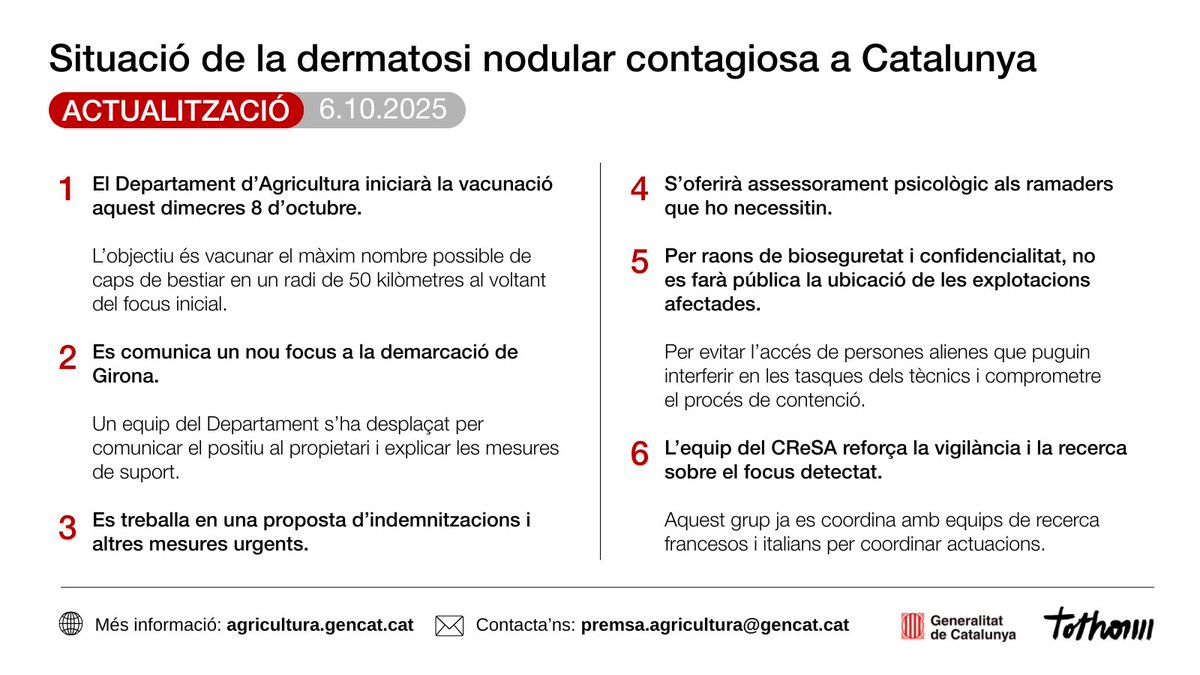 🔴 El Departament d'Agricultura començarà a vacunar per la dermatosi nodular contagiosa aquest dimecres.

🎙️ Demà a les 12.30 h, el Departament oferirà una roda de premsa a serveis centrals per donar més detalls sobre l’estat de la situació.

Més info: govern.cat/salapremsa/not…