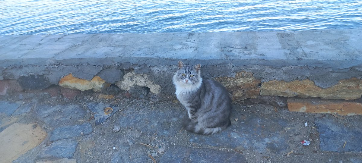 mnvrgrl's tweet photo. #çandarlı
@OnatGo https://t.co/CtfBzT5JA1