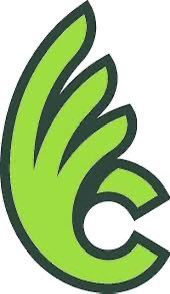 Sydnee DeLong tweet media