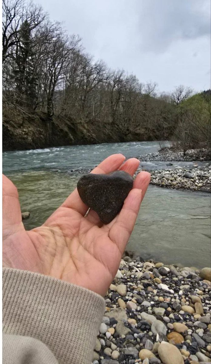 Тanata🧡,💙«(✸,✸)».ink🍊 , tweet media