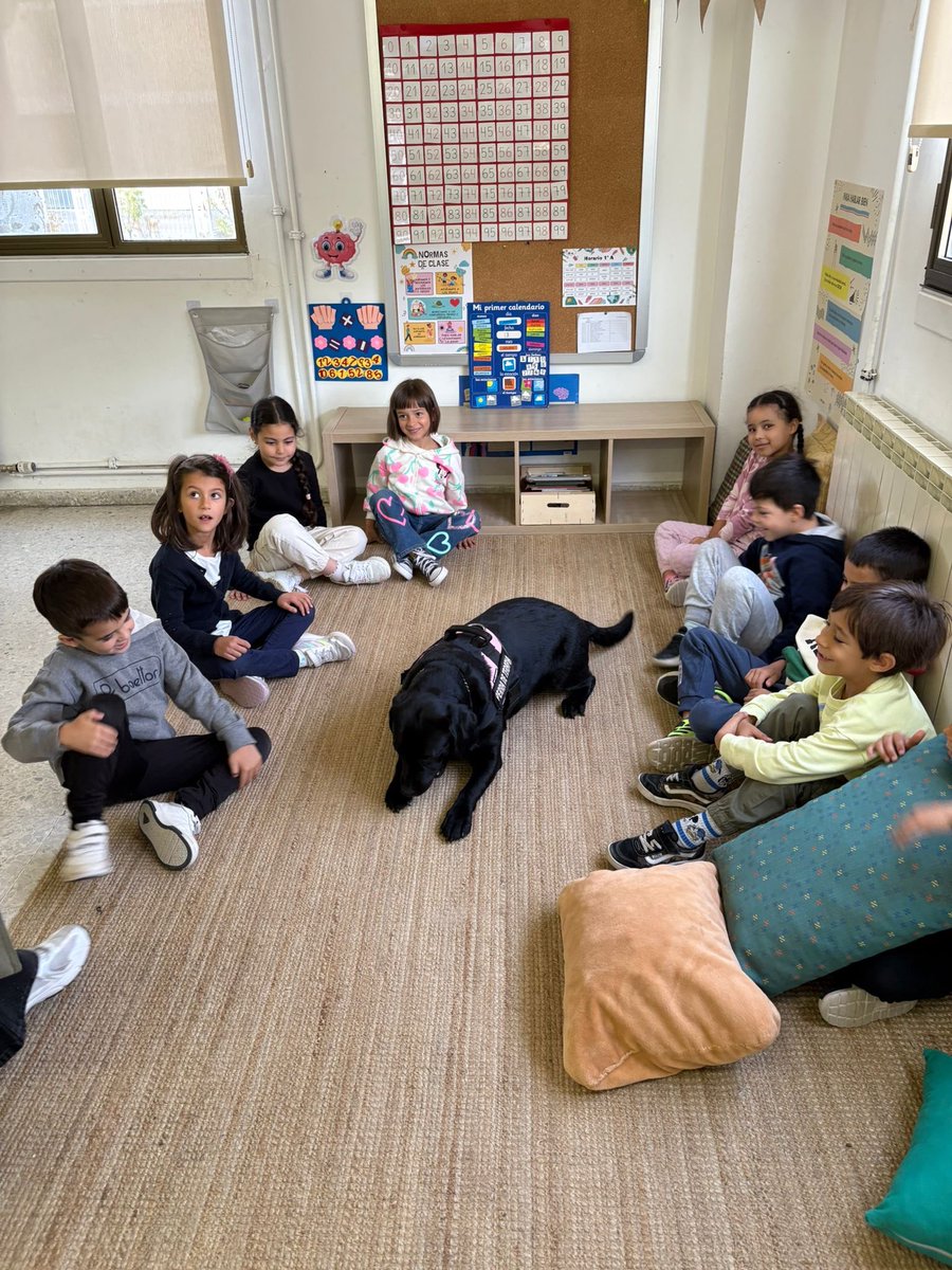 🐾 Hemos recibido una visita muy especial 💛🐾
Kiss ha venido a la clase de 1º y nos ha regalado momentos llenos de ternura y sonrisas 🐶✨

#TerapiaConPerros #Inclusión #AprendizajeEmocional #Conexiones #CuidarmeParaCuidarte #VSVidaSana