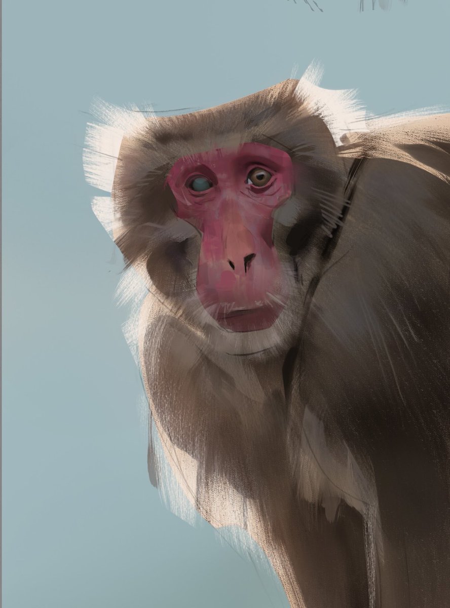 mahonsunto's tweet image. 