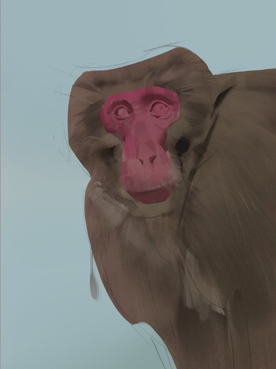 mahonsunto's tweet image. 