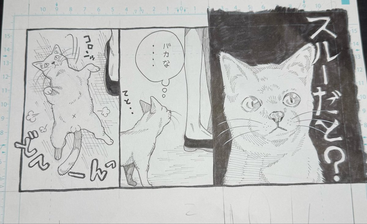 ちょっとずつ描🐱

…スルーだと!? 