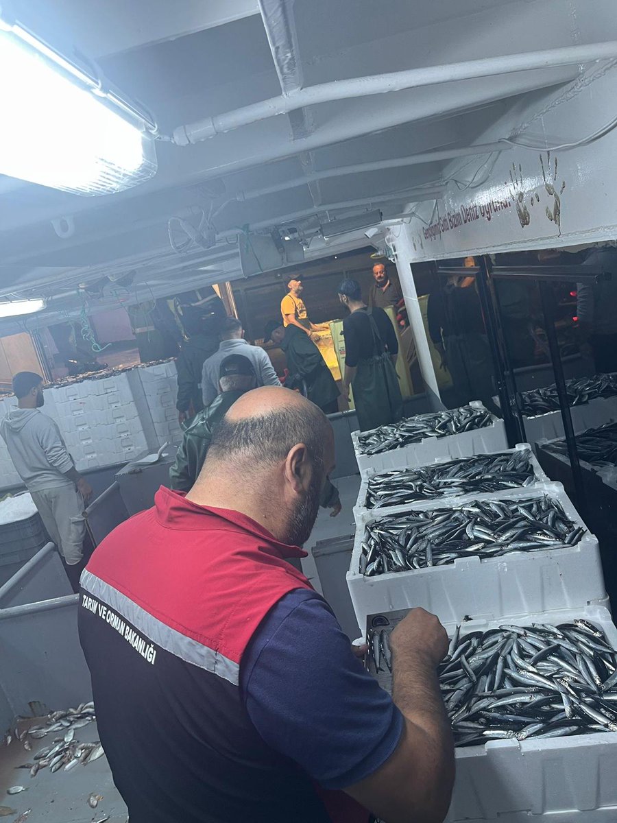 Cesmeilcetarim's tweet photo. 📍#çeşme
⏩ Bakanlığımızın #talimatları kapsamında İzmir'de eş zamanlı olarak gerçekleştirilen, #su ürünlerine yönelik #denetim ve #kontroller müdürlüğümüzce, ilçemizde gerçekleştirilmiştir. 🐟 ⚓☸️
#öncetarım🌾 #çeşme 🌊
@TCTarim @izmirtarim
@ibrahimyumakli
@MstafaSahin44 https://t.co/QvecGJQ6ps