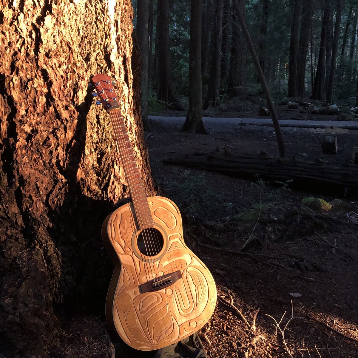 Had to get pics of my new favourite “#WalkAround“ #guitar out of the #UBC trails the other day; I had to catch the #sunset in the woods… It did get really dark, really fast right after these photos though. #GuitarLife #DavidCapperMusic #SunsetPhotography #MusicPhotography