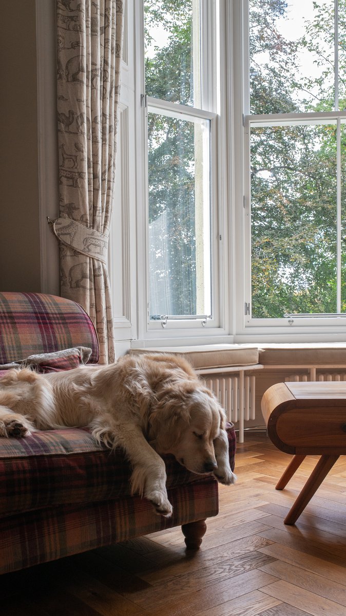 mwmwindow's tweet image. Phase one complete!  We’ve fitted bespoke timber sash windows in a beautiful West End villa — with help from our furry site supervisors, Chess &amp;amp; Bailey.  Full permissions secured, period charm preserved and energy efficiency upgraded. Phase two coming in 2026! #sashandcasewindows