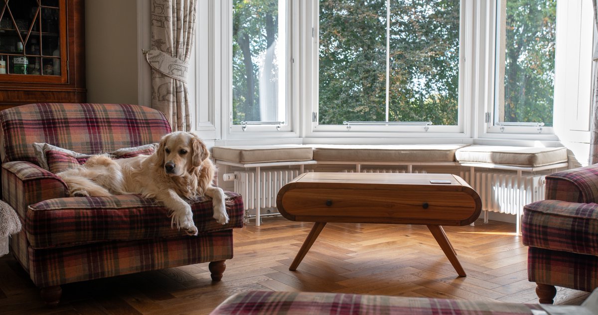 mwmwindow's tweet image. Phase one complete!  We’ve fitted bespoke timber sash windows in a beautiful West End villa — with help from our furry site supervisors, Chess &amp;amp; Bailey.  Full permissions secured, period charm preserved and energy efficiency upgraded. Phase two coming in 2026! #sashandcasewindows