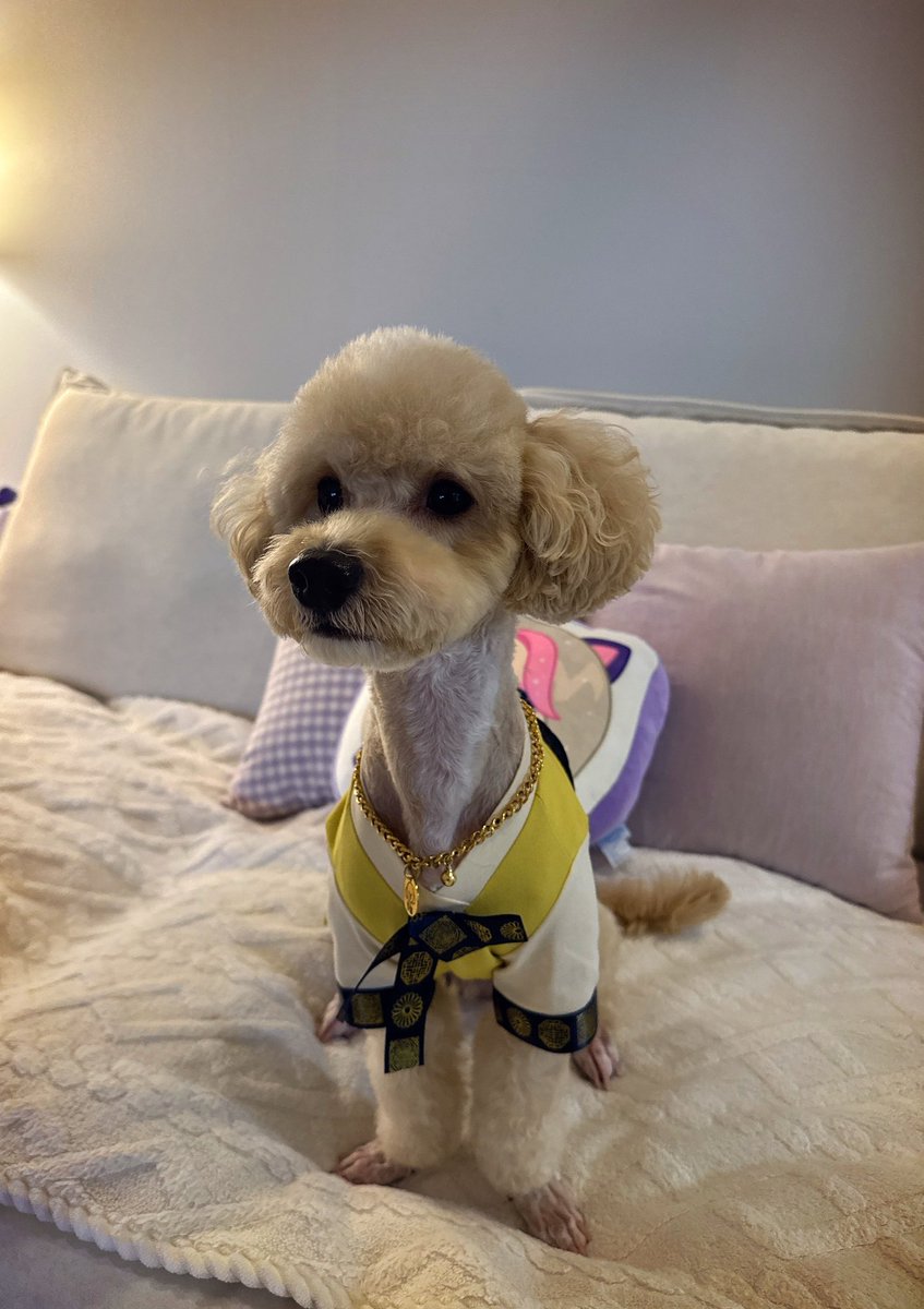 .☘︎ ݁˖ soft pause in the middle of a busy day — just me and my little sunshine, haneul. ☁️💕