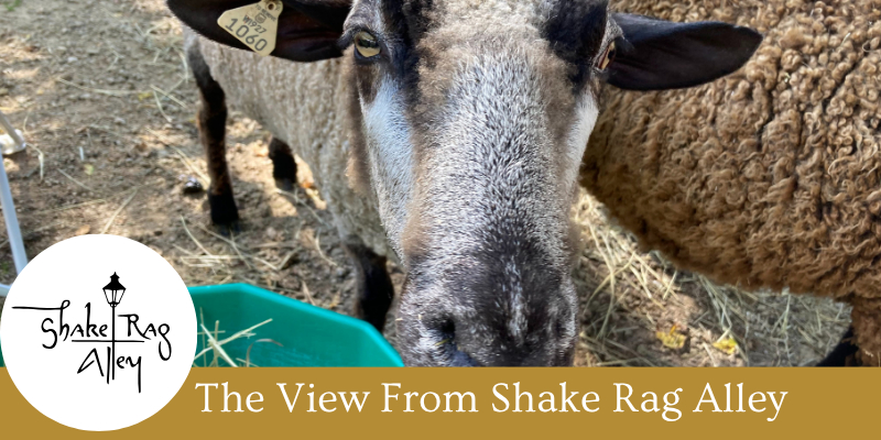 ShakeRagAlleyMP's tweet image. October News from Shake Rag Alley - mailchi.mp/shakeragalley/…