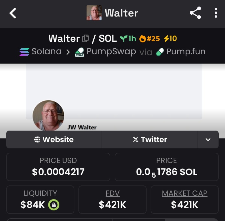 SOLAlphaSniffer's tweet image. 2.47x made from my calls on $Walter

Progress was made 🌄 

Join the meme coin madness! Hop into our private TG for the hottest tips and laughs
#MemeCoinVibes #USELESS $AVNT $ASTER #WURK #DigitalMarketing #TSOInsights #Walter
#Dogecoin #ETF #Crypto #Altseason