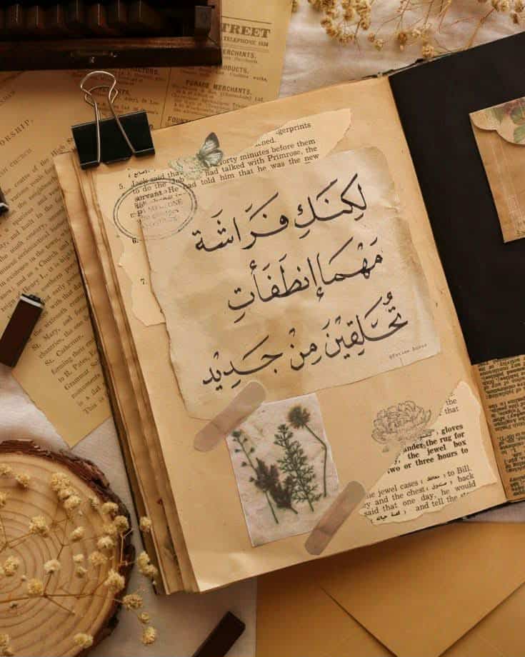 نـــ♡ـــور tweet media