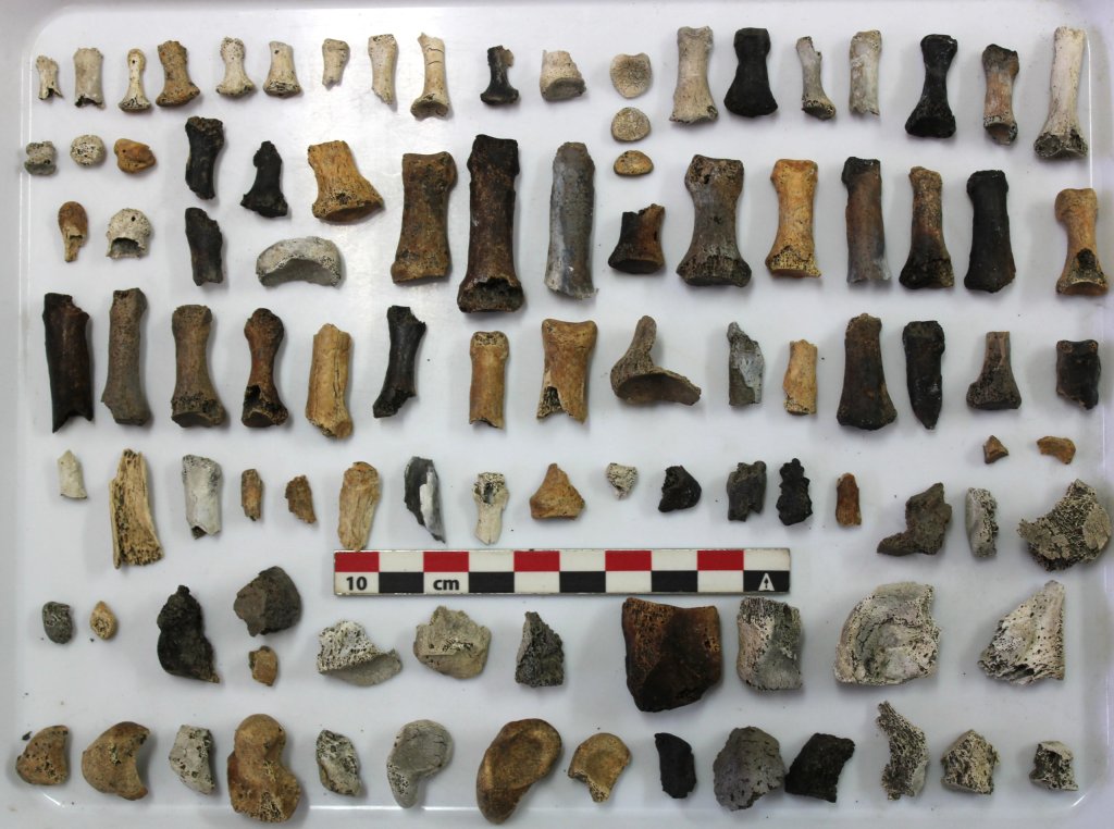 Daily 27 (@daily27info) on Twitter photo Read more about this discovery that implies a reconsideration of funerary rituals in Late Prehistory 👇
"The rite of cremation began in Iberia 4,800 years ago"
✍️Paula Becerra Fuello
🔗daily27.info/2025/10/07/the… #Archaeology #LosMilanesinAbla <a href="/CanalUGR/">Universidad Granada</a> #News #Daily27 Read more about this discovery that implies a reconsideration of funerary rituals in Late Prehistory 👇
"The rite of cremation began in Iberia 4,800 years ago"
✍️Paula Becerra Fuello
🔗daily27.info/2025/10/07/the… #Archaeology #LosMilanesinAbla <a href="/CanalUGR/">Universidad Granada</a> #News #Daily27