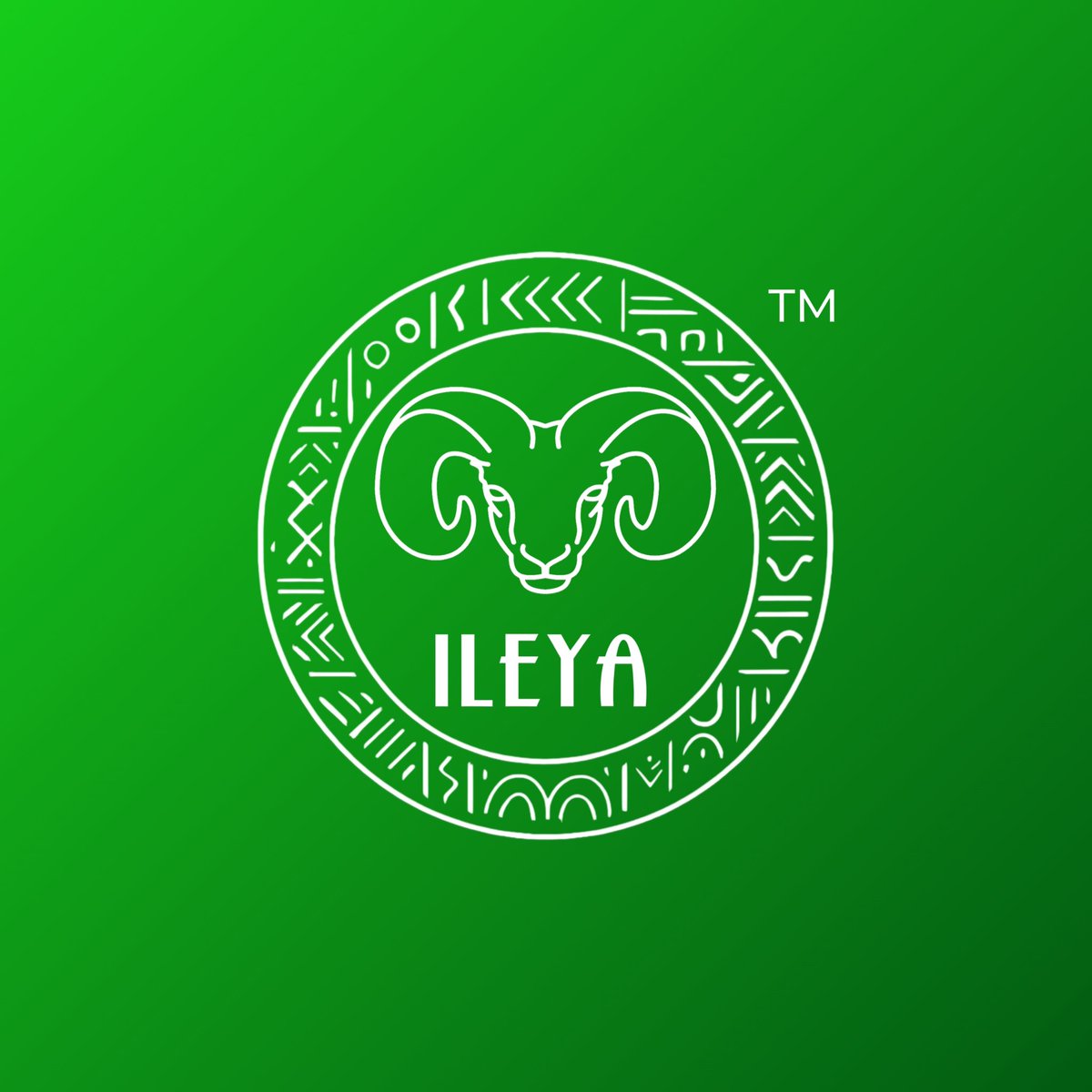 MichaelAyo57254's tweet image. Introducing the symbol of strength and heritage. Inspired by tradition and crafted for the modern age. Conceptualizing ILEYA as a brand. What story do you see in the design?&quot;