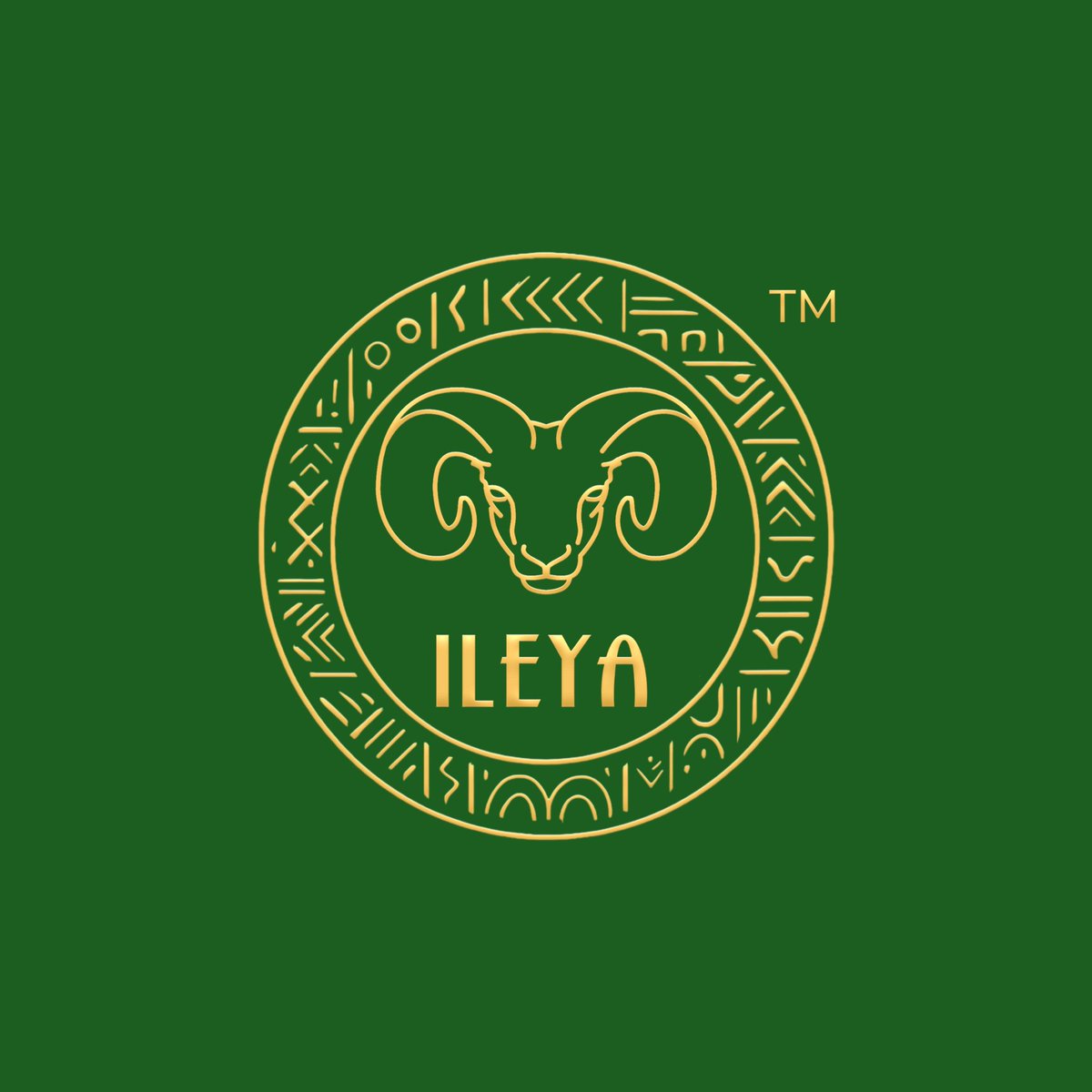 MichaelAyo57254's tweet image. Introducing the symbol of strength and heritage. Inspired by tradition and crafted for the modern age. Conceptualizing ILEYA as a brand. What story do you see in the design?&quot;