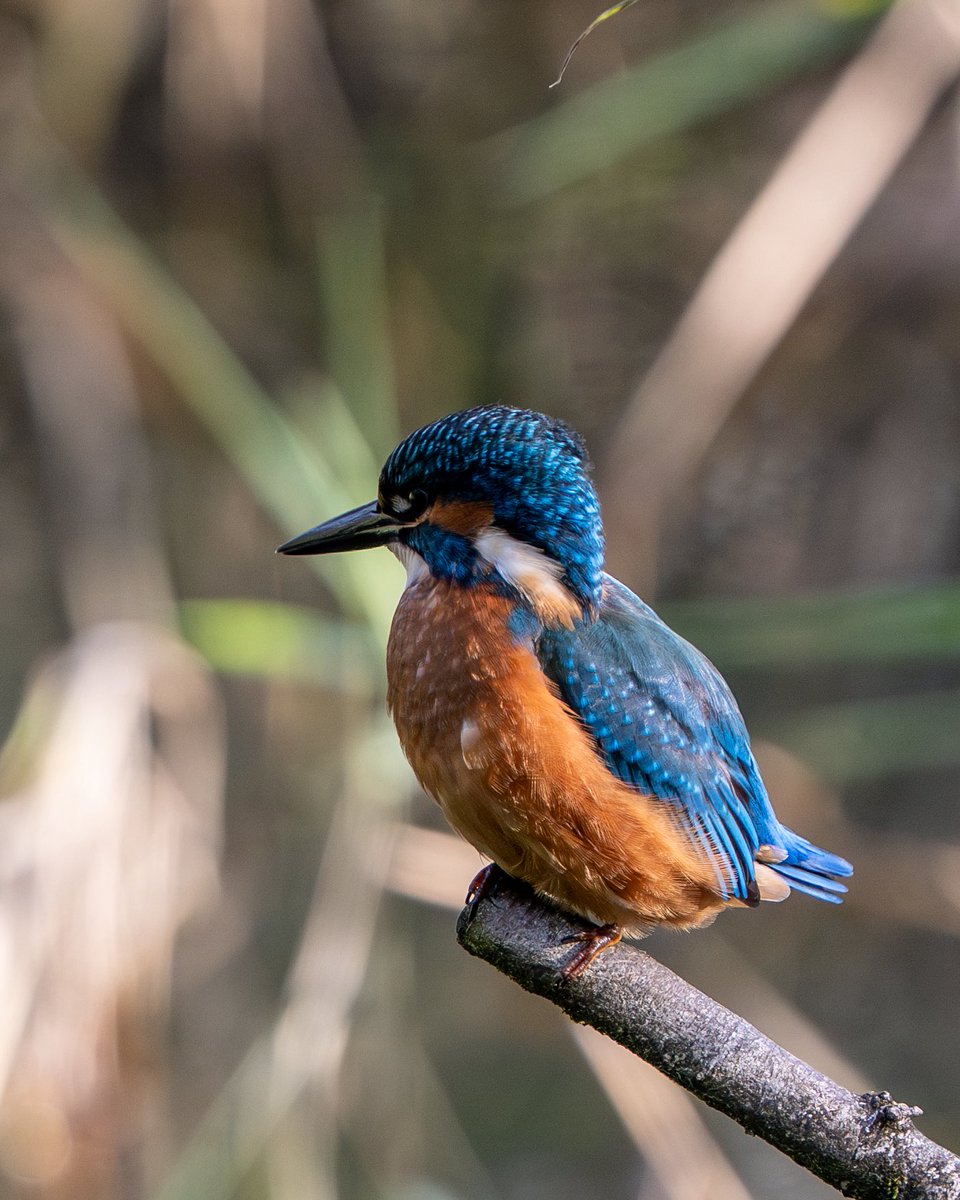 James Darby tweet media