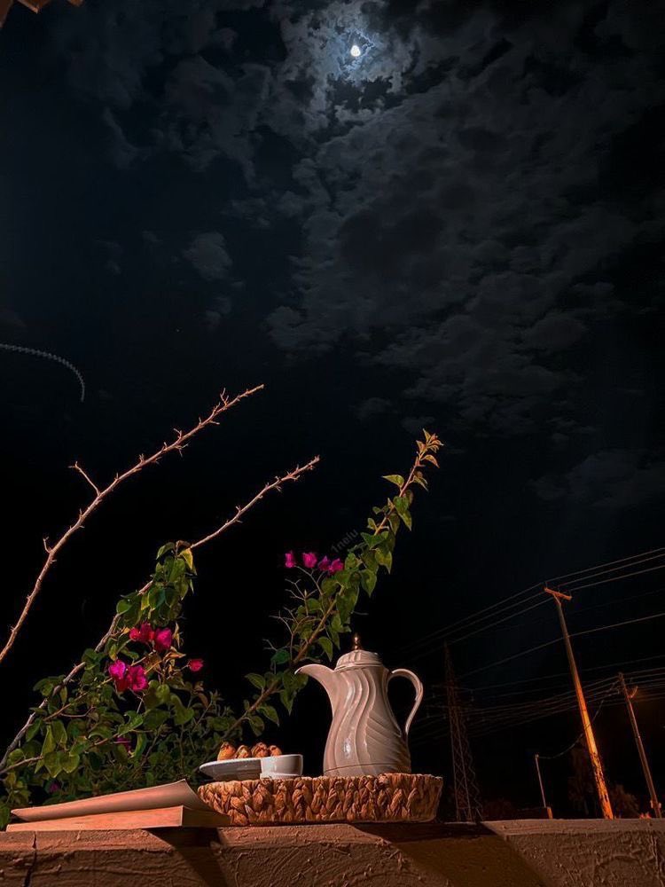 نطلب من الله صدرٍ ماتحوفه حسايف
والباقي سهالات 🍂