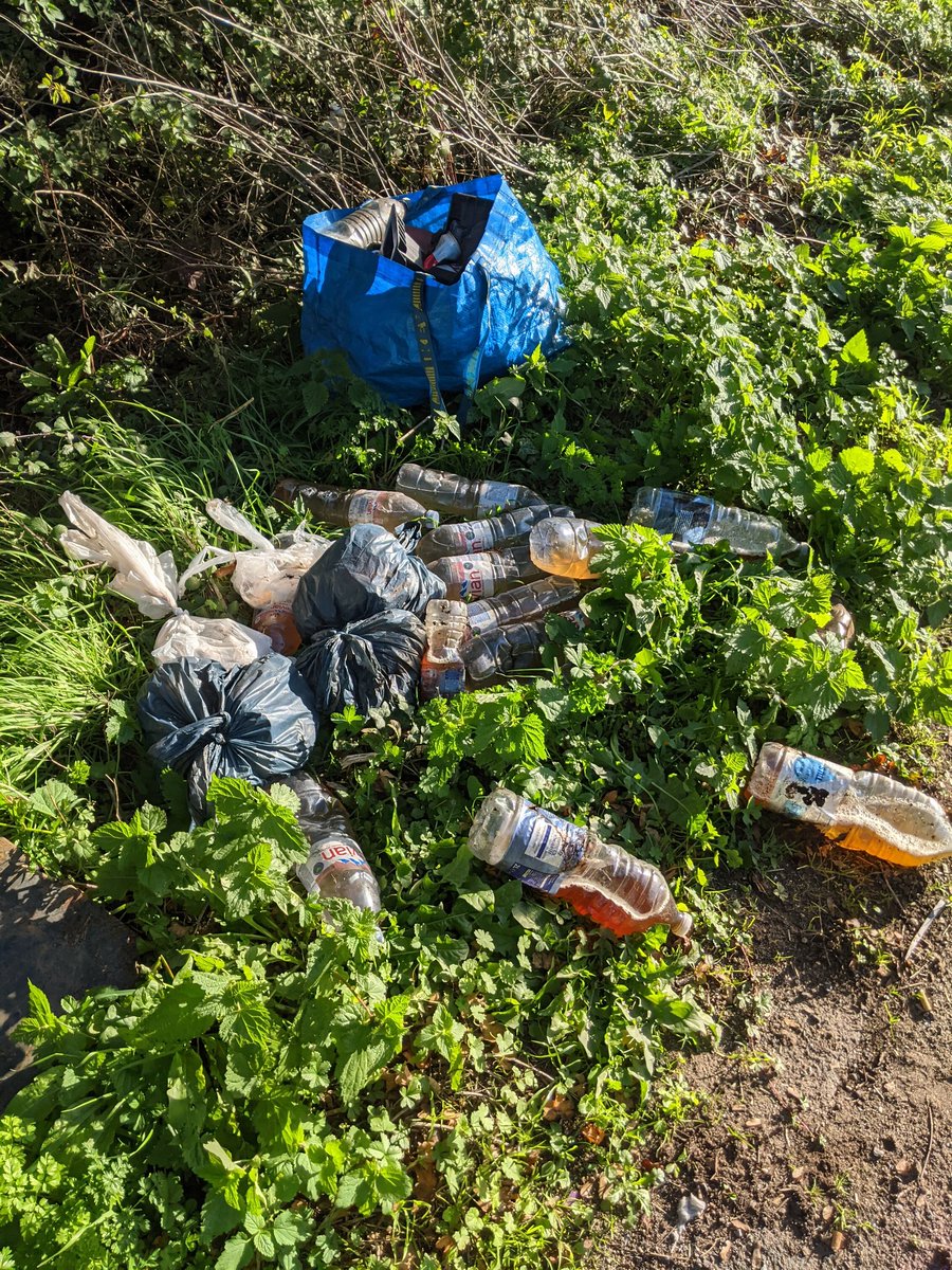 EricTorrington's tweet photo. Over 25 #litres of truckers bottled #urine off the A38 today including a fly-tip of 10 x 1.5 litre bottles from the same driver who definitely needs to drink more water. Colour, smell & sediments not good. #NoPrideinBritain #tizer #urinology #gloucestershire @BBCSpot1ight https://t.co/Nay36T1F7m