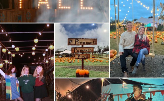 The Perfect Autumnal Evening at Pennywell - enjoy their Pumpkin Patch after dark throughout October, accompanied by Live Music, Marshmallow Toasting, a Tractor &amp; Trailer Ride, and more! Book tickets online. #pennywellfarm #visitdevon