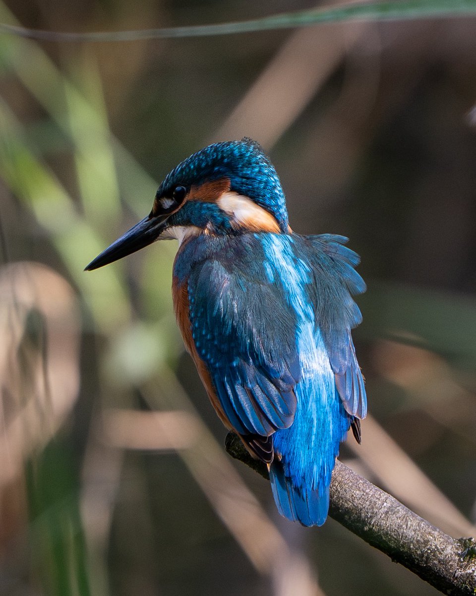 James Darby tweet media