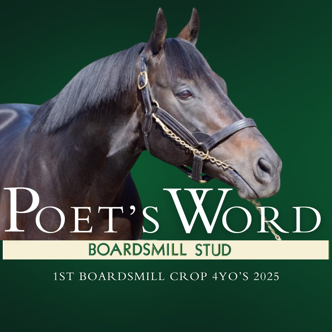boardsmillstud's tweet photo. 📢 Another impressive 4yo debut winner for #POETSWORD as Babs readily takes the Bumper at @stratfordraces this evening. Congrats to @HJOliverRacing, @kielanwoods, @sue_howell14 &amp; Breeders Magnetize Partnership @symondsracing. A grad of @GoffsUK. 📢 https://t.co/zkZlPJwfp0