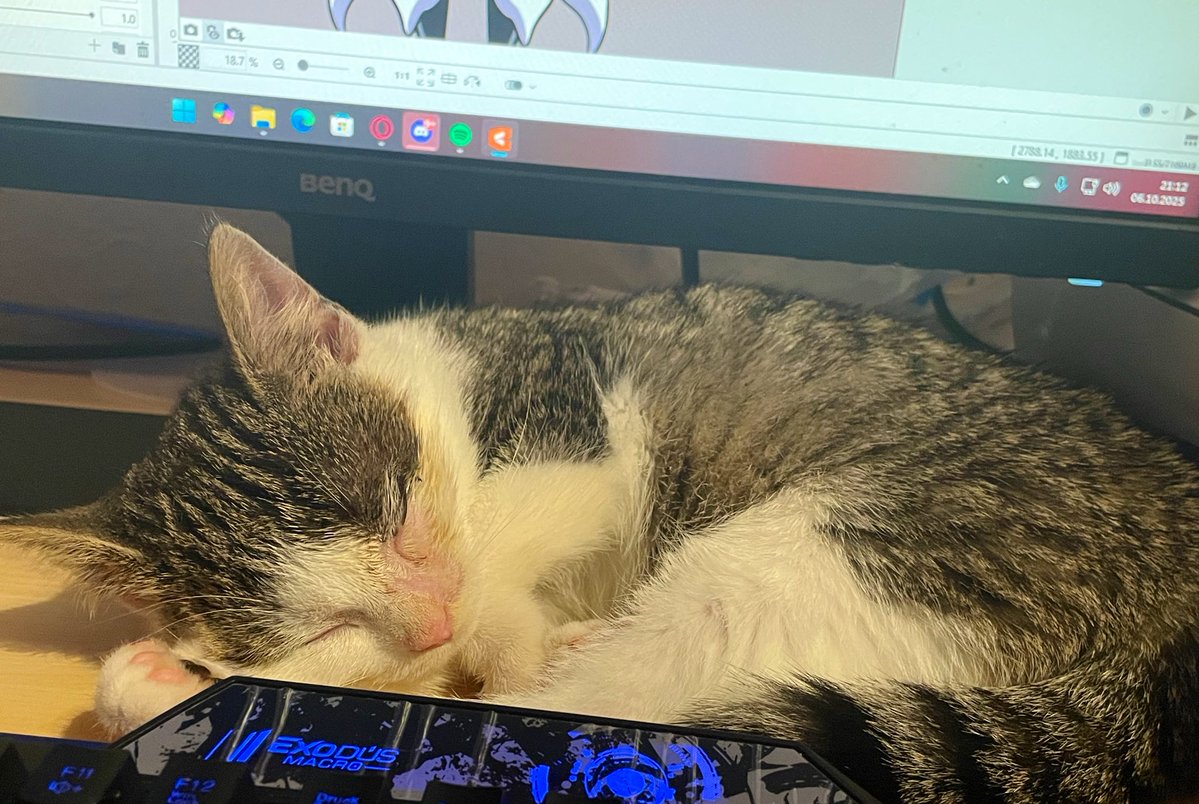 LadyFableVT's tweet image. Sleeping all innocently as if he doesn’t keep messing with my feet and keyboard while I‘m trying to catch up on commissions😭
I love him though ❤️