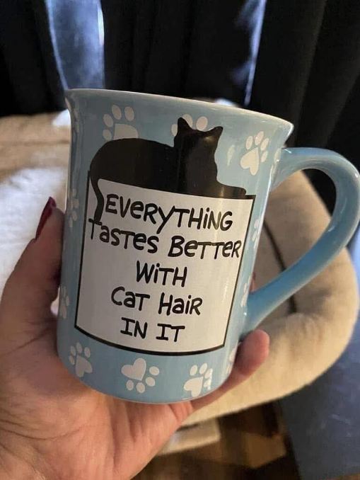 Prrplegrl (@prrplegrl) on Twitter photo 