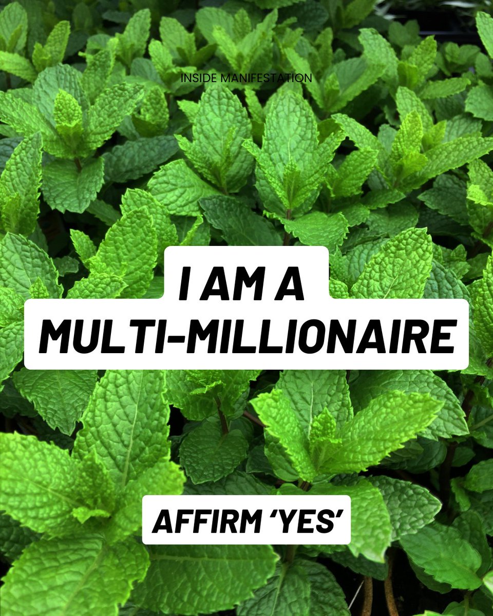 Inside Manifestation tweet media