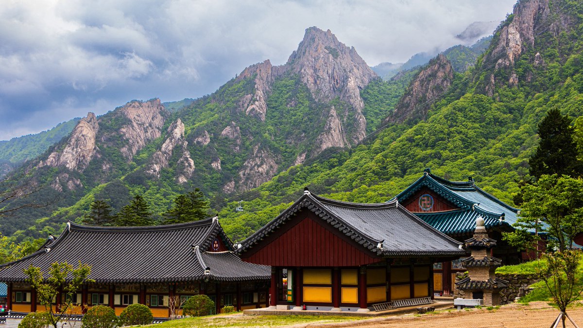 Tom Citoleux tweet media